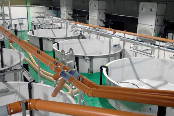 三文魚養(yǎng)殖場低溫?zé)岜眉泄┡?xiàng)目